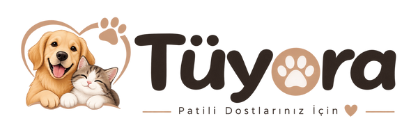 Tüyora